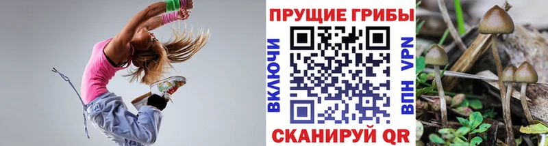 Псилоцибиновые грибы MAGIC MUSHROOMS  мега ONION  Астрахань 